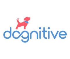 Dognitive Training
